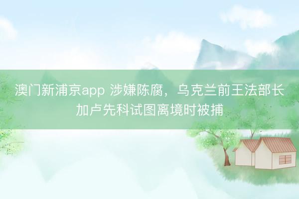 澳门新浦京app 涉嫌陈腐，乌克兰前王法部长加卢先科试图离境时被捕