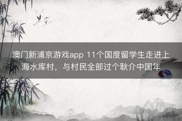 澳门新浦京游戏app 11个国度留学生走进上海水库村，与村民全部过个耿介中国年