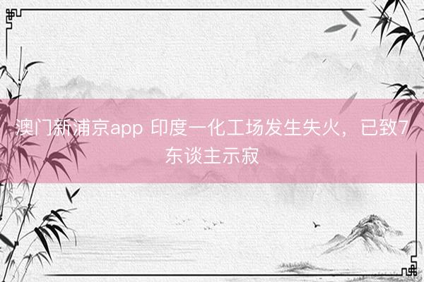 澳门新浦京app 印度一化工场发生失火，已致7东谈主示寂