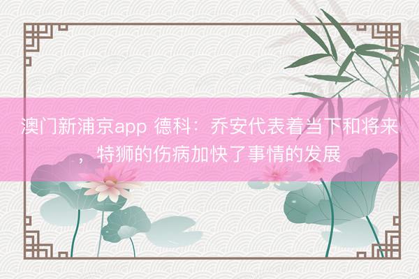 澳门新浦京app 德科：乔安代表着当下和将来，特狮的伤病加快了事情的发展