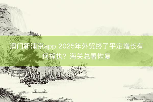 澳门新浦京app 2025年外贸终了平定增长有何撑执？海关总署恢复