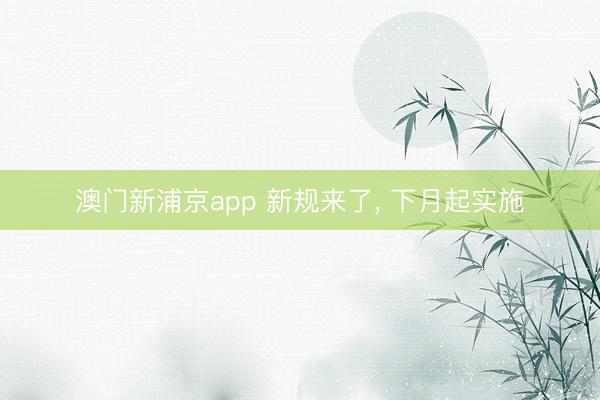 澳门新浦京app 新规来了, 下月起实施