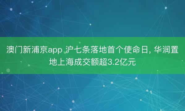 澳门新浦京app 沪七条落地首个使命日， 华润置地上海成交额超3.2亿元