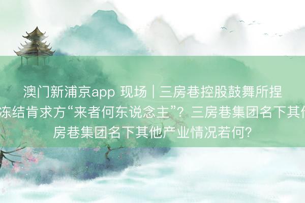 澳门新浦京app 现场 | 三房巷控股鼓舞所捏股权全被冻结,冻结肯求方“来者何东说念主”?三房巷集团名下其他产业情况若何?