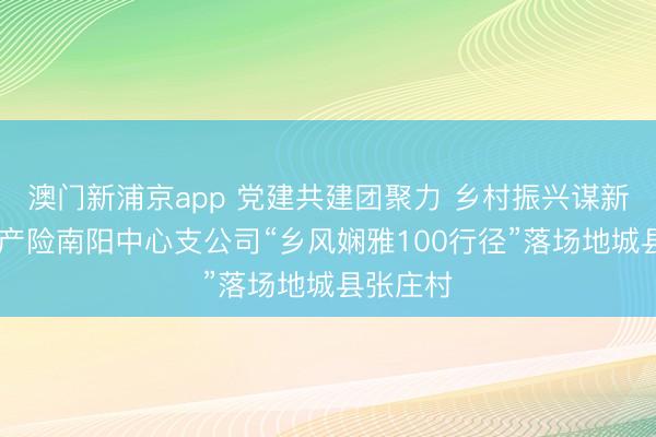 澳门新浦京app 党建共建团聚力 乡村振兴谋新篇 祥瑞产险南阳中心支公司“乡风娴雅100行径”落场地城县张庄村
