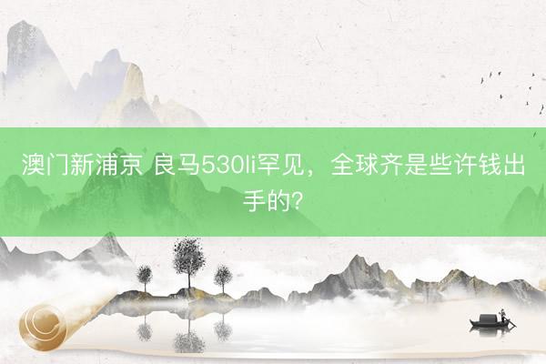 澳门新浦京 良马530li罕见，全球齐是些许钱出手的？