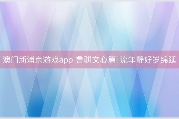 澳门新浦京游戏app 鲁骈文心篇‖流年静好岁绵延