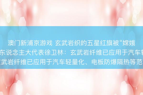 澳门新浦京游戏 玄武岩织的五星红旗被“嫦娥六号”带上月球，寰宇东说念主大代表徐卫林：玄武岩纤维已应用于汽车轻量化、电板防爆隔热等范畴