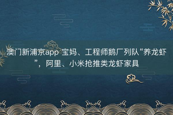 澳门新浦京app 宝妈、工程师鹅厂列队“养龙虾”，阿里、小米抢推类龙虾家具